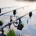 Karpfenangeln mit Freunden - viel frische Luft und gute Gespräche