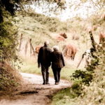 Wandern – Bewegung und frische Luft vereint