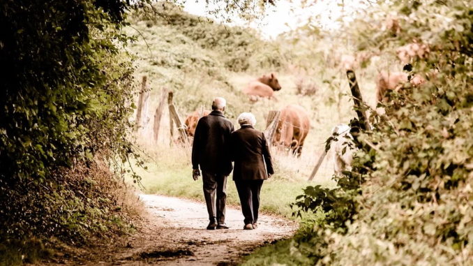 Wandern – Bewegung und frische Luft vereint