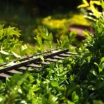 Kreativer Schatten- und Sichtschutz im Garten - Ratgeber