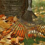 Pflegeleichter Garten im Alter