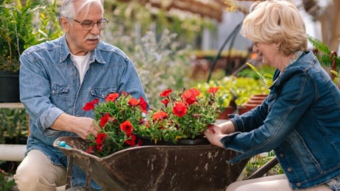 Rückenschonende Gartenarbeit für Senioren