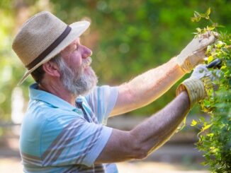 Gartenarbeit für Senioren - 6 Tipps fürs Gärtnern im Alter