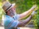 Gartenarbeit für Senioren - 6 Tipps fürs Gärtnern im Alter