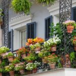 Balkon: So wird er frühlingsfit