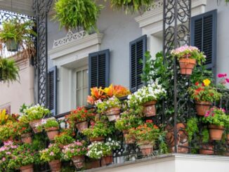 Balkon: So wird er frühlingsfit