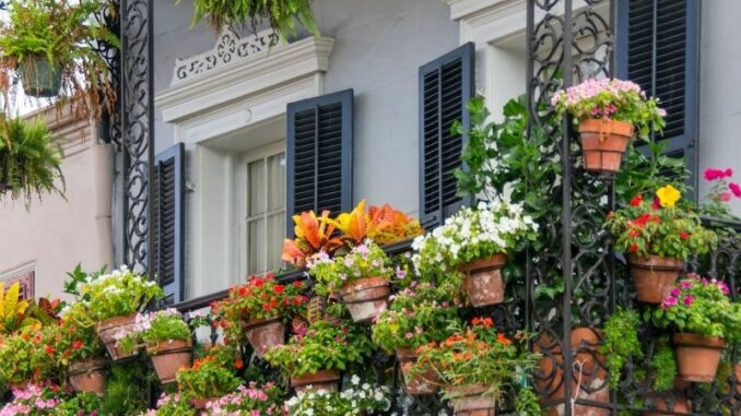 Balkon: So wird er frühlingsfit