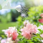 So wird der Garten altersgerecht