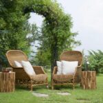 Im Alter reicht oft ein kleinerer Garten – welche Bäume eignen sich hierfür am besten?