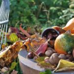 Den Garten im Herbst für den Frühling schon fit machen