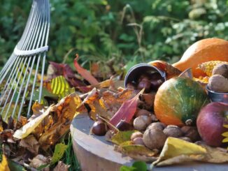 Den Garten im Herbst für den Frühling schon fit machen