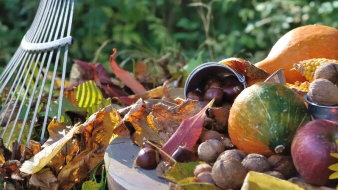 Den Garten im Herbst für den Frühling schon fit machen