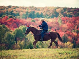 Reiten im Alter – Warum man auch noch im Seniorenalter reiten kann