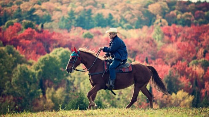 Reiten im Alter – Warum man auch noch im Seniorenalter reiten kann