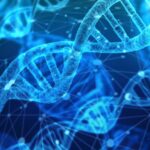 Mit DNA-Analyse Krankheiten im Alter ausschließen: Ein umfassender Blick