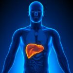 Hepatomegalie - Eine umfassende Analyse einer vergrößerten Leber