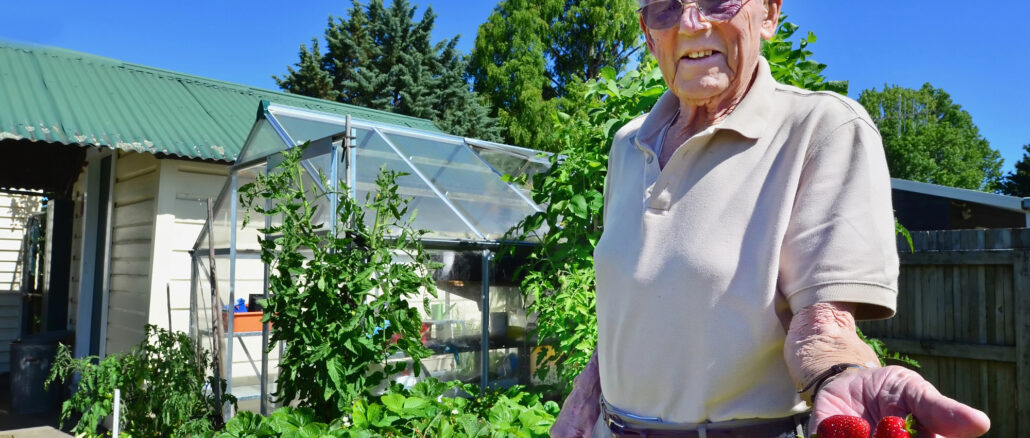 Pflegeleichter Garten im Alter: Welche Lösungen wirklich Arbeit sparen