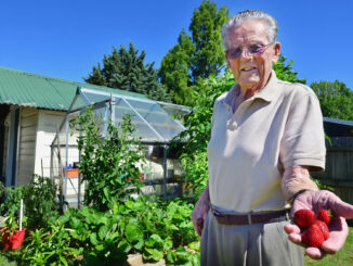 Pflegeleichter Garten im Alter: Welche Lösungen wirklich Arbeit sparen